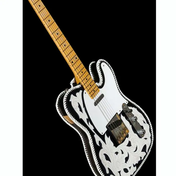 Fender Waylon Jennings Tele LTD MBDB – photo 12