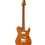 Guitare électrique FGN Expert Iliad EW VN Avis & Test