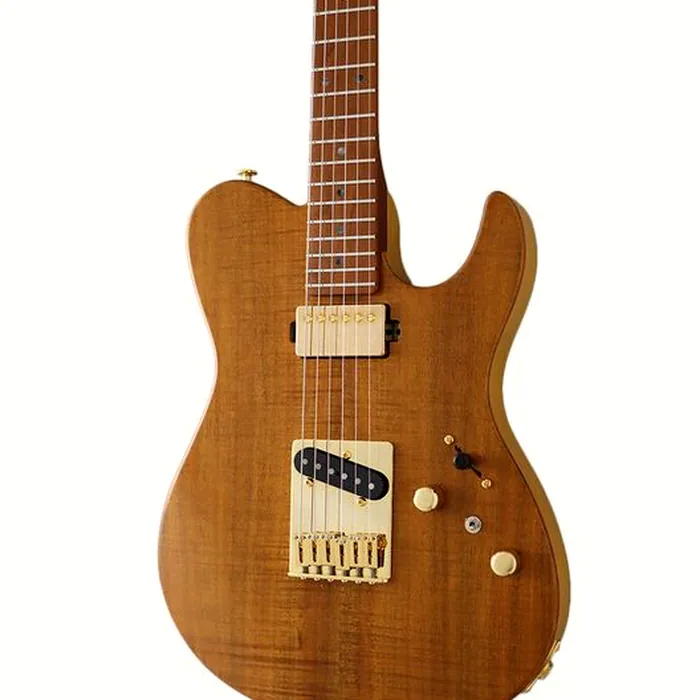 FGN Expert Iliad EW VN – photo 5