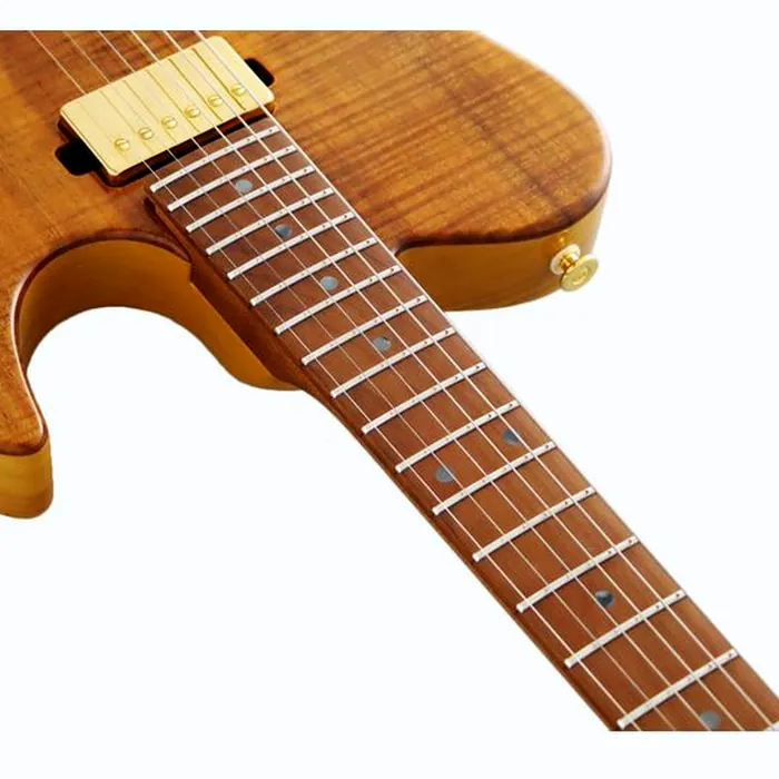 FGN Expert Iliad EW VN – photo 7