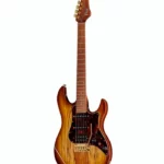 FGN Expert Odyssey EW HCB (Guitare électrique) – Test, Avis et Comparatif