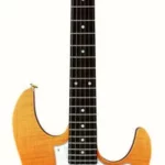 La guitare électrique FGN Expert Odyssey RFG | Test, Avis & Comparatif | E.G.L