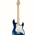 FGN Expert Odyssey SBB II (Guitare électrique) Test & Avis