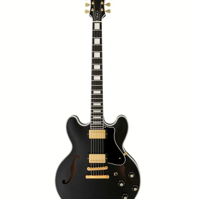 FGN Masterfield Semi Custom HH BK – photo 2