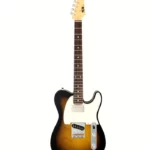 Avis guitare électrique FGN Neo Classic TE 210 SH 2TS