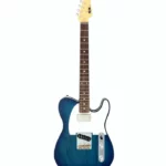 Avis guitare électrique FGN Neo Classic TE 210 SH SBB