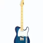 La guitare électrique FGN Neo Classic TE100 SS SBB : Notre avis