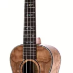 Le ukulélé Flight Concert DUC 410 QA | Test, Avis & Comparatif