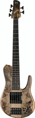 Fodera Matt Garrison Imperial 5