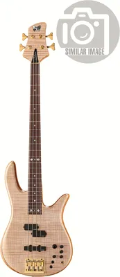 Fodera Victor Wooten Classic 2014