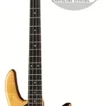 La basse électrique Fodera Yin Yang Standard 4 II | Test et Avis | E.G.L