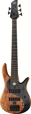 Fodera Yin Yang Standard 5 ltd Spalt