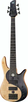 Fodera Yin Yang Std 5 ltd Box Elder