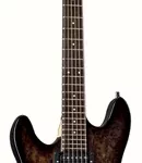 La guitare électrique Framus D-Series Diablo Prog X L NBK | Test, Avis & Comparatif