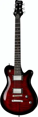 Framus D-Series Panthera Supreme BB