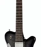 La guitare électrique Framus D-Series Panthera Supreme BK | Test, Avis & Comparatif