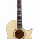 Guitare acoustique Framus FC 44 SMV Concert LS | Test, Avis & Comparatif