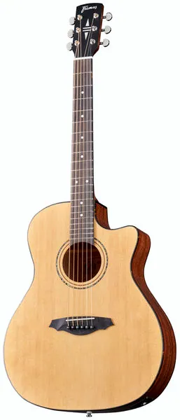 Framus FG 14 SV GA Legacy Series
