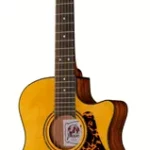 Guitare acoustique Framus FG 14 SV Legacy Series | Test, Avis & Comparatif