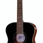 Guitare acoustique Framus FG-14M VS Legacy Series | Test, Avis & Comparatif