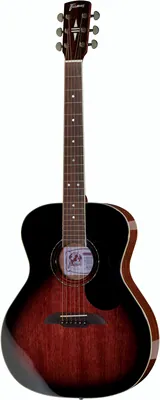 Framus FG-14M VS Legacy Series