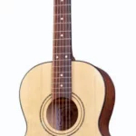 Guitare acoustique Framus FP 14 SV Parlor Legacy Series | Test, Avis & Comparatif