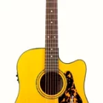 Guitare acoustique Framus Legacy Series FD-14 SVCE | Test, Avis & Comparatif