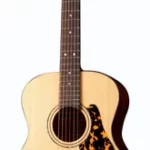 Guitare acoustique Framus Legacy Series FG14 SV VSNT | Test, Avis & Comparatif