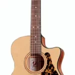 Guitare acoustique Framus Legacy Series FG14 SV VSNT CE | Test, Avis & Comparatif