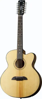 Framus Legacy Series FJ14 SMV 12 EQ