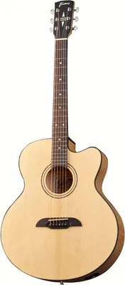Framus Legacy Series FJ14 SMV EQ