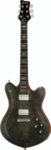 Framus Teambuilt William DuVall