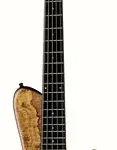 La basse électrique Franz Bassguitars Sirius 5 Maple Burl | Test et Avis | E.G.L
