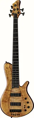 Franz Bassguitars Sirius 5 Maple Burl