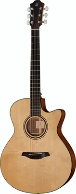 Furch Blue plus GC-SW w/LRBaggs