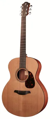 Furch Indigo G-CY / SPE-L.R. Baggs