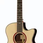 Guitare acoustique Furch Orange Gc-SR/L.R. Baggs Stage | Test, Avis & Comparatif