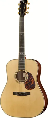 Furch Vintage 2 D-SR