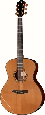 Furch Yellow G-CR w/LR Baggs Stage