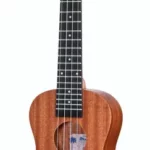 Le ukulélé Gewa Manoa Patea P-CO | Test, Avis & Comparatif
