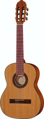 Gewa PRO ARTE CM-50 Maestro