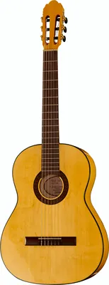 Gewa Pro Arte Flamenco Yellow