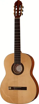 Gewa Pro Arte GC130A