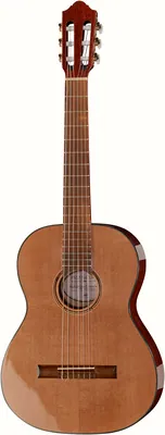 Gewa Pro Natura Bronze Teleri