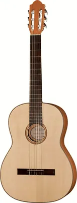 Gewa Pro Natura Gold 4/4 Cherry