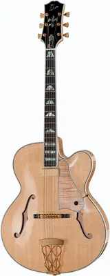 Gibson Citation NA
