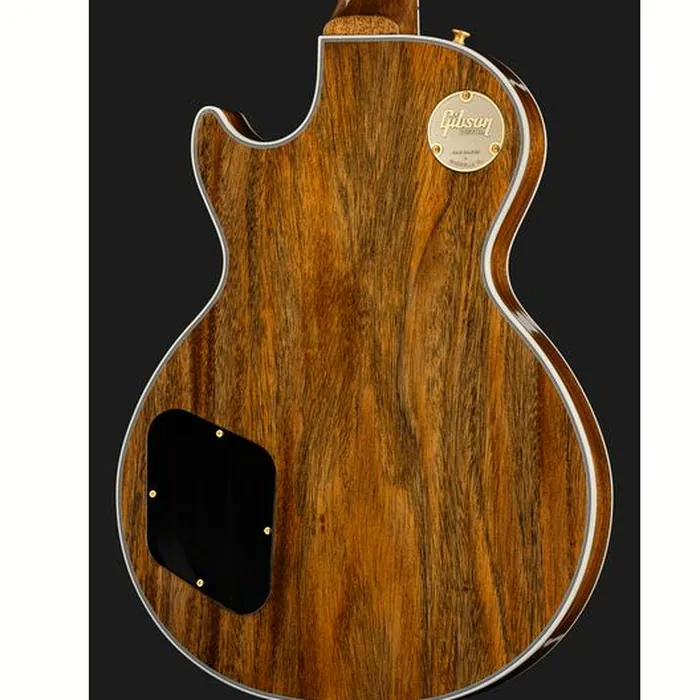 Gibson Les Paul C Bigsby HPT TOB #3 – photo 9
