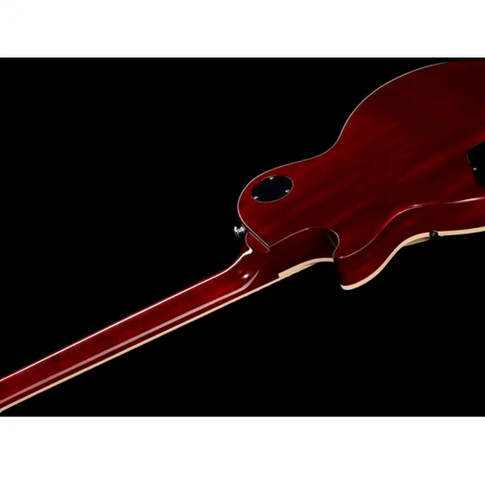 Gibson Les Paul Deluxe 70s CS – photo 10