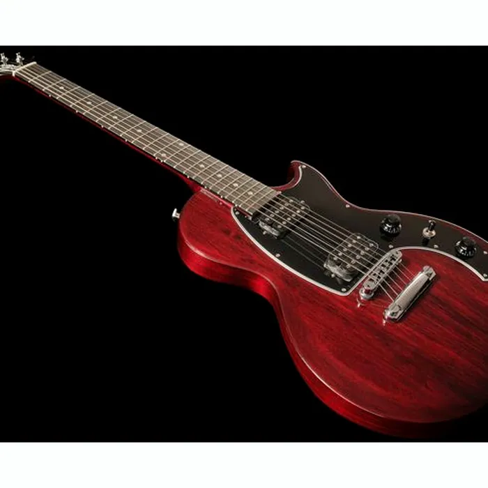 Gibson Les Paul Music City Sp. WR – photo 12