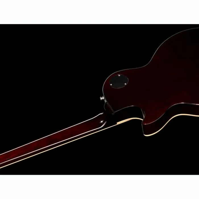 Gibson Les Paul Slash Standard GT – photo 10